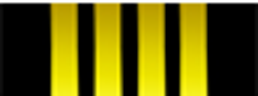 Insignia de Capitán