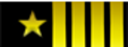 Insignia de Capitán Senior
