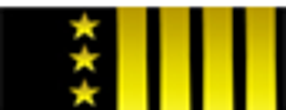 Insignia de Comandante Senior